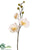 Phalaenopsis Orchid Spray - White Yellow - Pack of 12