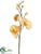 Phalaenopsis Orchid Spray - Yellow Two Tone - Pack of 12