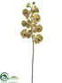 Silk Plants Direct Phalaenopsis Orchid Spray - Green Burgundy - Pack of 6