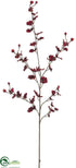 Silk Plants Direct Oncidium Orchid Spray - Burgundy - Pack of 12