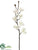 Phalaenopsis Orchid Spray - White - Pack of 12