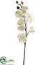 Silk Plants Direct Phalaenopsis Orchid Spray - White - Pack of 12