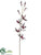 Orchid Spray - Burgundy - Pack of 12