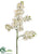 Phalaenopsis Orchid Spray - Cream - Pack of 6