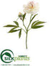 Silk Plants Direct Peony Spray - Cream Beauty - Pack of 12