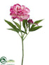 Silk Plants Direct Peony Spray - Fuchsia Pink - Pack of 12