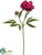 Peony Spray - Orchid Two Tone - Pack of 12