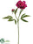 Peony Spray - Orchid Two Tone - Pack of 12