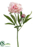 Silk Plants Direct Peony Spray - Pink Green - Pack of 12