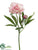 Peony Spray - Pink Green - Pack of 12