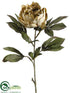 Silk Plants Direct Peony Spray - Green Beige - Pack of 12