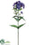 Phlox Spray - Blue - Pack of 12