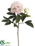 Silk Plants Direct Peony Spray - Pink Beauty - Pack of 12