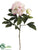 Peony Spray - Pink Beauty - Pack of 12