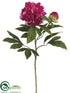 Silk Plants Direct Peony Spray - Rubrum Orchid - Pack of 12
