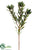Wild Protea Spray - Green - Pack of 12
