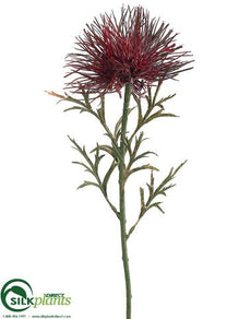 Wild Protea Spray - Burgundy - Pack of 24