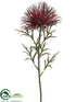 Silk Plants Direct Wild Protea Spray - Burgundy - Pack of 24
