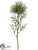 Wild Protea Spray - Green - Pack of 24
