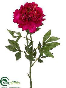Peony Spray - Beauty - Pack of 12