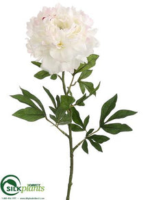 Peony Spray - Cream - Pack of 12