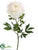 Peony Spray - Cream - Pack of 12