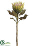 Silk Plants Direct Protea Spray - Green - Pack of 12