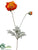 Poppy Spray - Orange Two Tone - Pack of 12