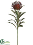 Silk Plants Direct Protea Spray - Coffee - Pack of 12