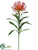Protea Spray - Flame - Pack of 12