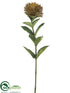Silk Plants Direct Protea Bud Spray - Green Brown - Pack of 12