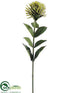 Silk Plants Direct Protea Bud Spray - Green Two Tone - Pack of 12