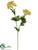 Queen Anne's Lace Spray - Yellow Two Tone - Pack of 12