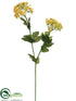 Silk Plants Direct Queen Anne's Lace Spray - Yellow Two Tone - Pack of 12