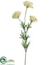 Silk Plants Direct Queen Anne's Lace Spray - White - Pack of 12