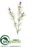 Silk Plants Direct Queen Blossom Spray - Purple - Pack of 12