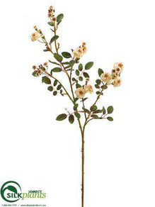 Pompon Rose Spray - Apricot - Pack of 12