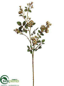 Pompon Rose Spray - Gold Old - Pack of 12