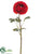 Ranunculus Spray - Brick - Pack of 12