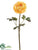 Ranunculus Spray - Yellow - Pack of 12