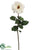 Rose Spray - White - Pack of 12