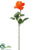 Rose Spray - Coral - Pack of 12