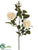 Rose Spray - Cream - Pack of 12