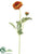 Ranunculus Spray - Orange - Pack of 12