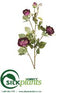 Silk Plants Direct Dried Cabbage Rose Spray - Purple Two Tone - Pack of 12