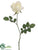 Tall Rose Bud Spray - Cream White - Pack of 24