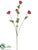 Mini Ranunculus Spray - Rose - Pack of 12