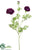 Ranunculus Spray - Purple - Pack of 12