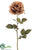 Rose Spray - Camel - Pack of 12