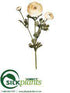 Silk Plants Direct Ranunculus Spray - Beige - Pack of 12